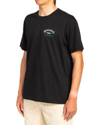 Billabong ARCH DREAMY PLACE SS SİYAH Erkek Tshirt - 4