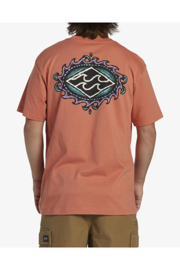 Billabong CRAYON WAVE TEES Turuncu Erkek Tshirt - 2