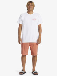 Quiksilver EVERYDAY UNION LIGHT Turuncu Erkek Şort - 4