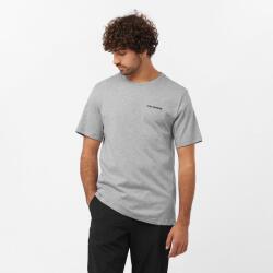 Salomon GRAPHIC PERF SS TEE M Gri Erkek Tshirt - 1