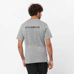 Salomon GRAPHIC PERF SS TEE M Gri Erkek Tshirt - 2