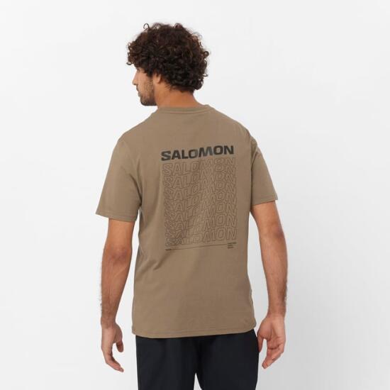 Salomon GRAPHIC PERF SS TEE M Kahverengi Erkek Tshirt - 2