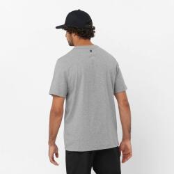 Salomon GRAPHIC SS TEE M Gri Erkek Tshirt - 2