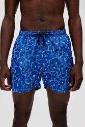 Bad Bear WHACABEAR SWIMSHORT Mavi Erkek Şort - 1