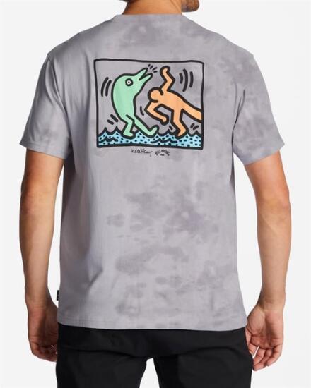 Billabong DOLPHIN DANCE SS Gri Erkek Tshirt - 2