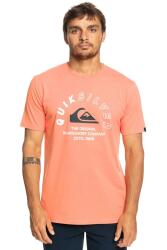 Quiksilver MIXEDSIGNALS M TEES Pembe Erkek Tshirt - 1