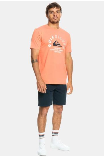 Quiksilver MIXEDSIGNALS M TEES Pembe Erkek Tshirt - 3