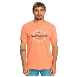 Quiksilver PASSTHEPRIDE M TEES Pembe Erkek Tshirt - 1