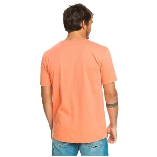 Quiksilver PASSTHEPRIDE M TEES Pembe Erkek Tshirt - 2