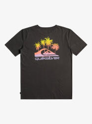 Quiksilver PASTIMEPARADISE M TEES SİYAH Erkek Tshirt - 1