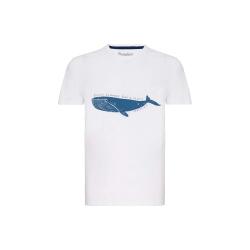 Routefield TAIL BEYAZ Erkek Tshirt - 1